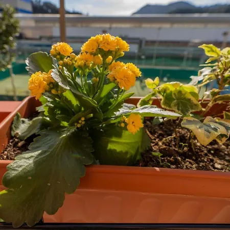 101 - La Casina Sestri Levante, 15 Minuti A Piedi Dal Mare E Spiaggie 아파트