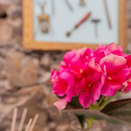 Apartment 101 - La Casina Sestri Levante, 15 Minuti A Piedi Dal Mare E Spiaggie *